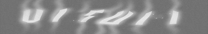 Visum banner